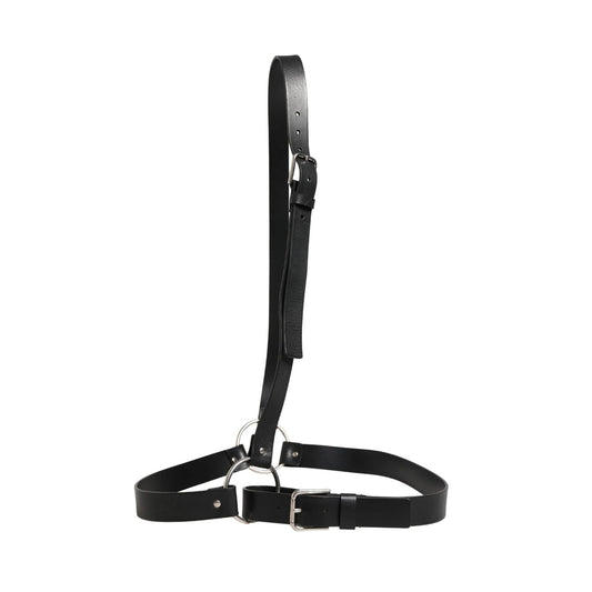 Dolce & Gabbana Black Double Strap Leather Silver Buckle Belt