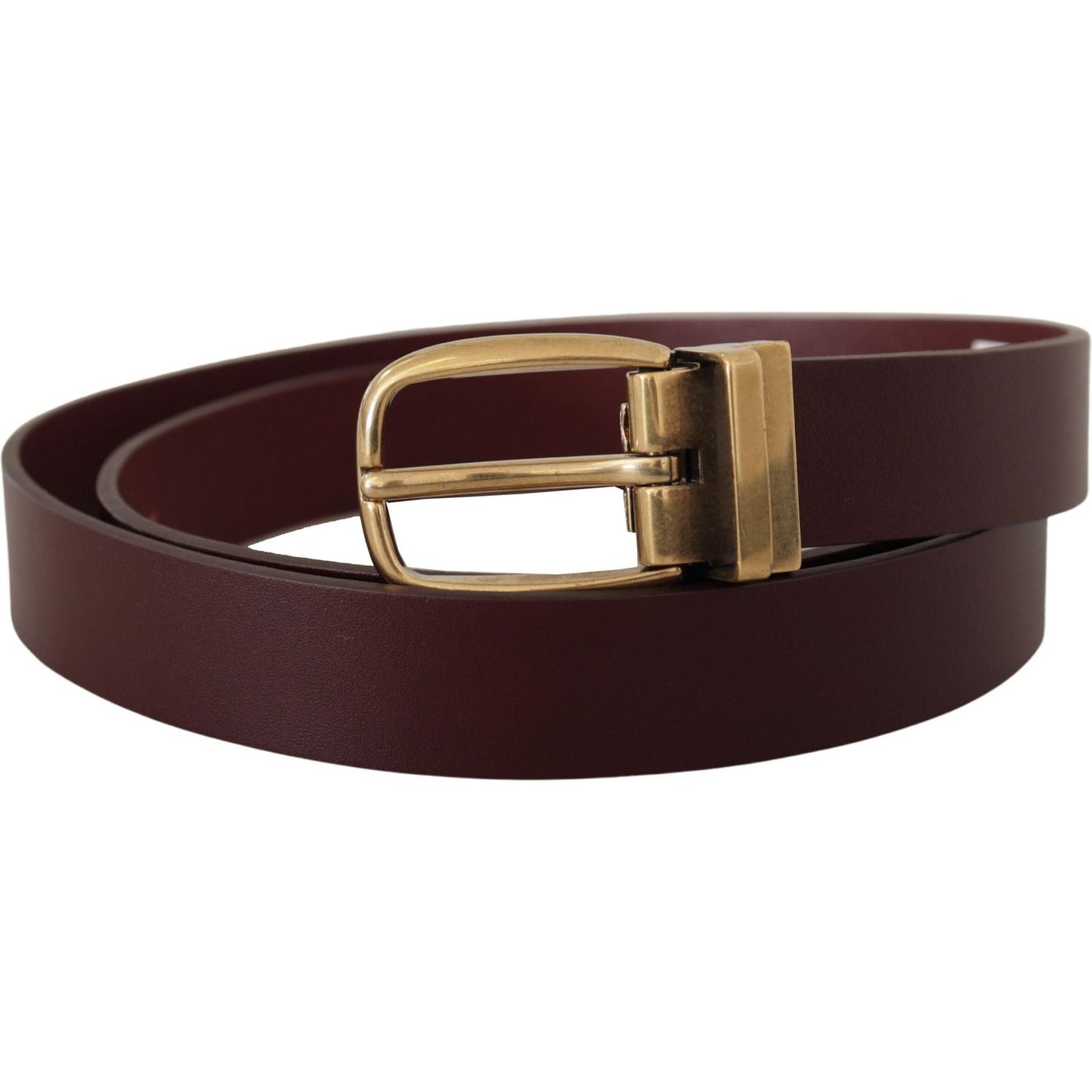 Dolce & Gabbana Brown Leather Classic Gold Metal Buckle Belt