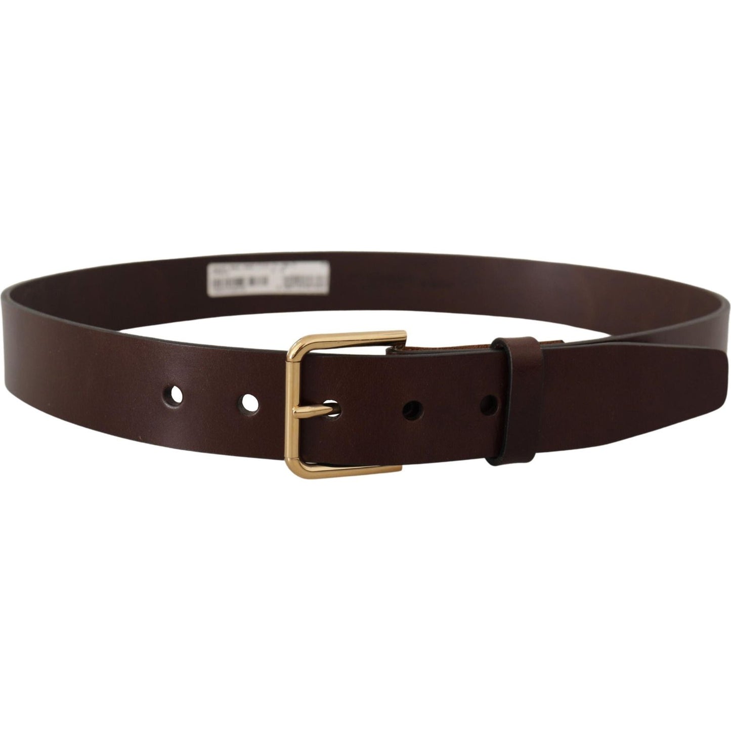 Dolce & Gabbana Brown Polished Leather Gold Tone Metal Buckle Belt