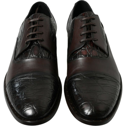 Dolce & Gabbana Brown Exotic Leather Formal Men Dress Shoes