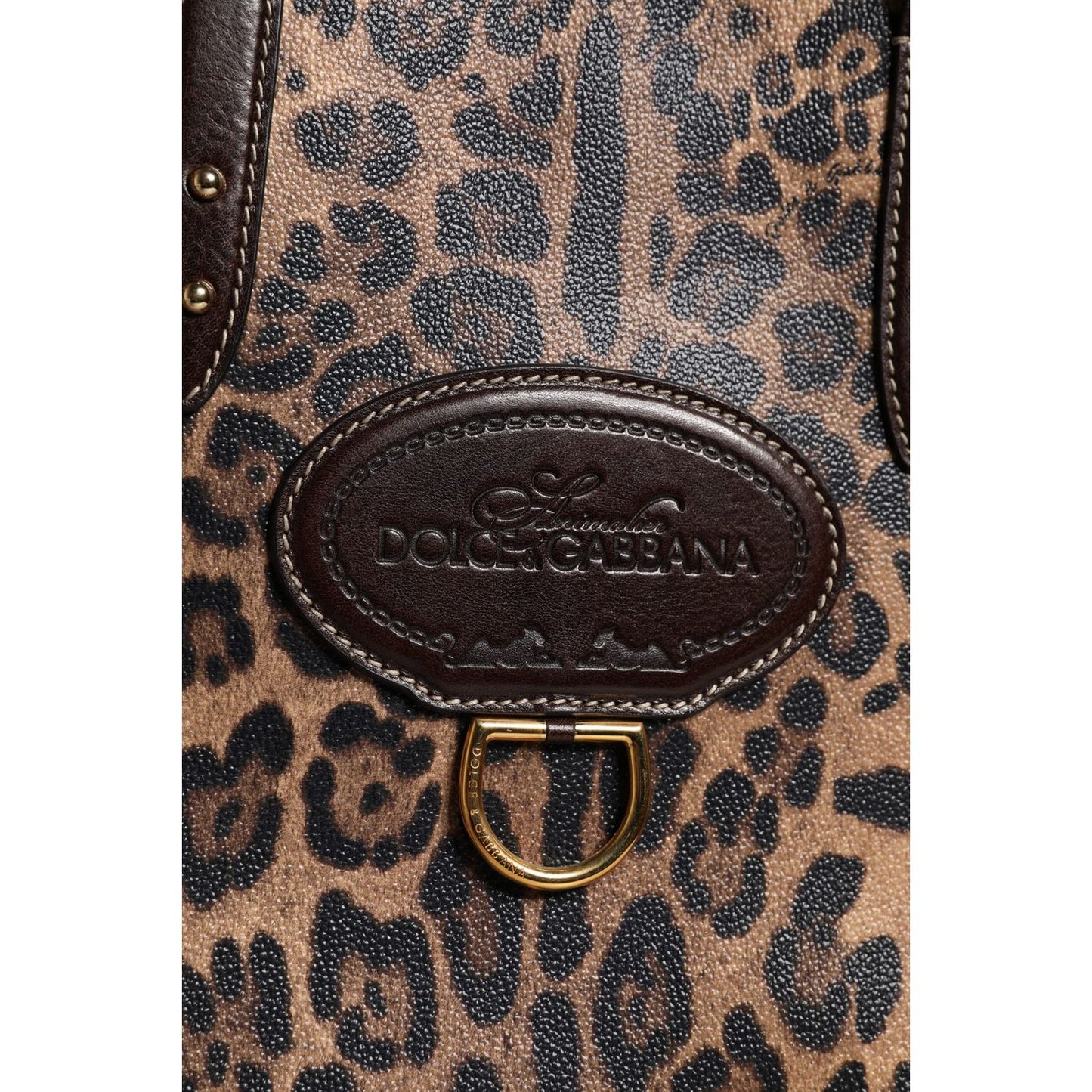 Dolce & Gabbana Brown Leopard Leather Shoulder Strap Tote Bag