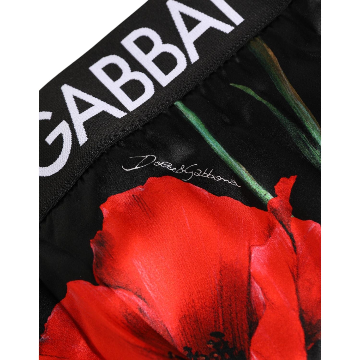 Dolce & Gabbana Black Floral Print High Waist Sheer Mesh Underwear