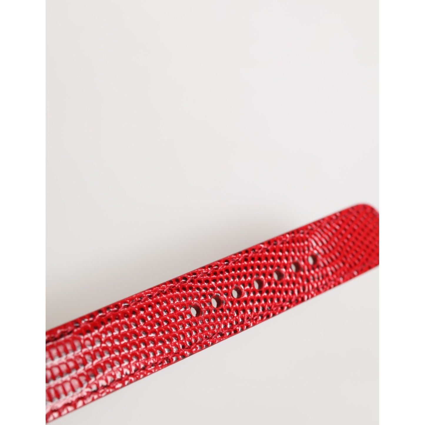 Dolce & Gabbana Red Exotic Leather Gold Tone Metal Buckle Women Armband