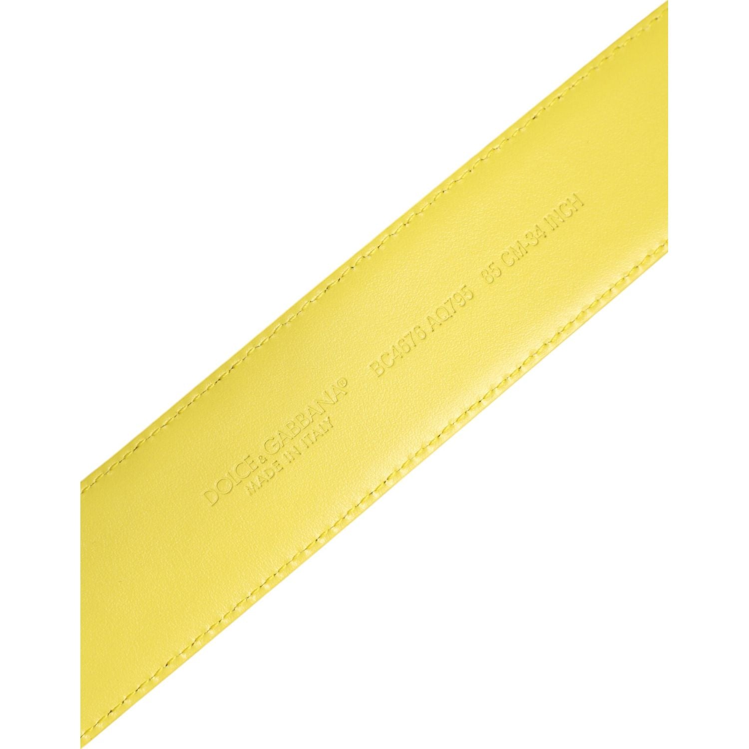 Dolce & Gabbana Yellow Green Classic Metal Logo Buckle Belt