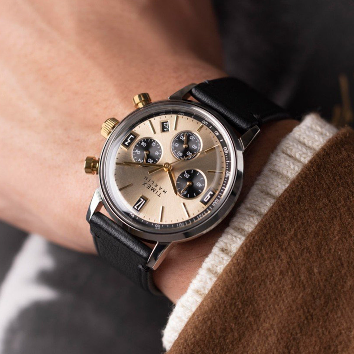 TIMEX WATCHES Mod. TW2W60300A